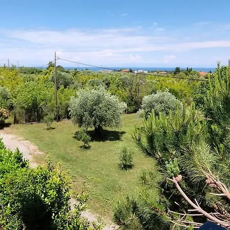 Dom wakacyjny Ihor- Private Pool -pieria